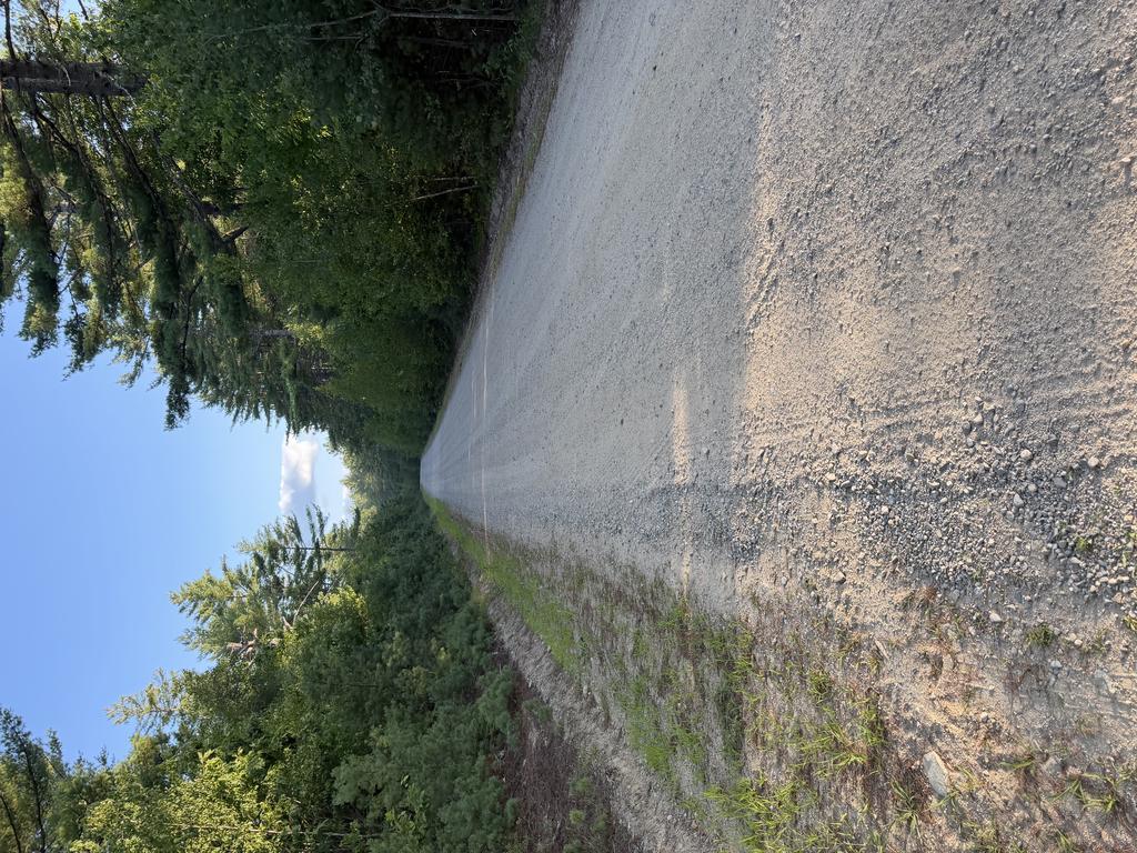 wrenchdad Trail Photo