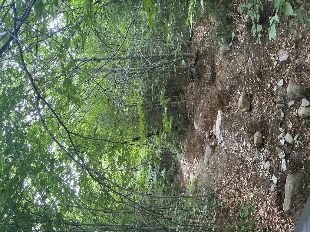 Brian@Trailintel.Com Trail Photo