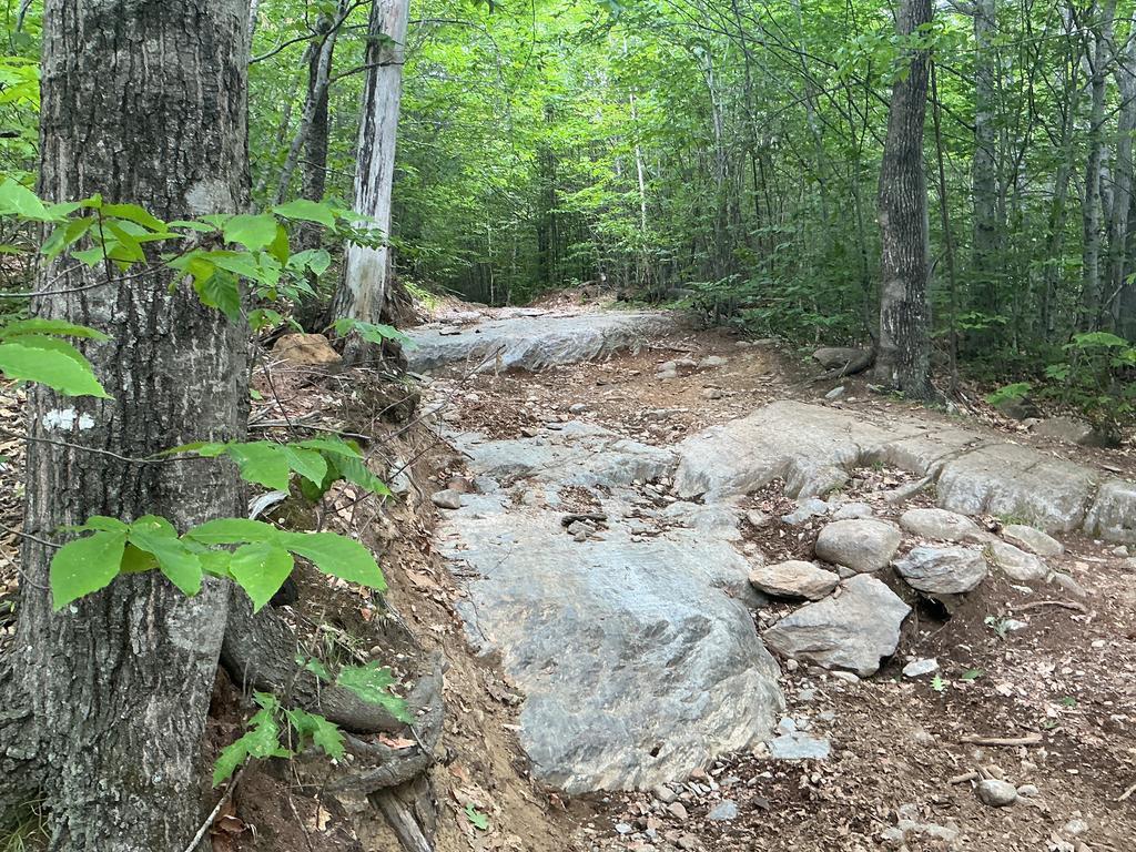 Brian@Trailintel.Com Trail Photo