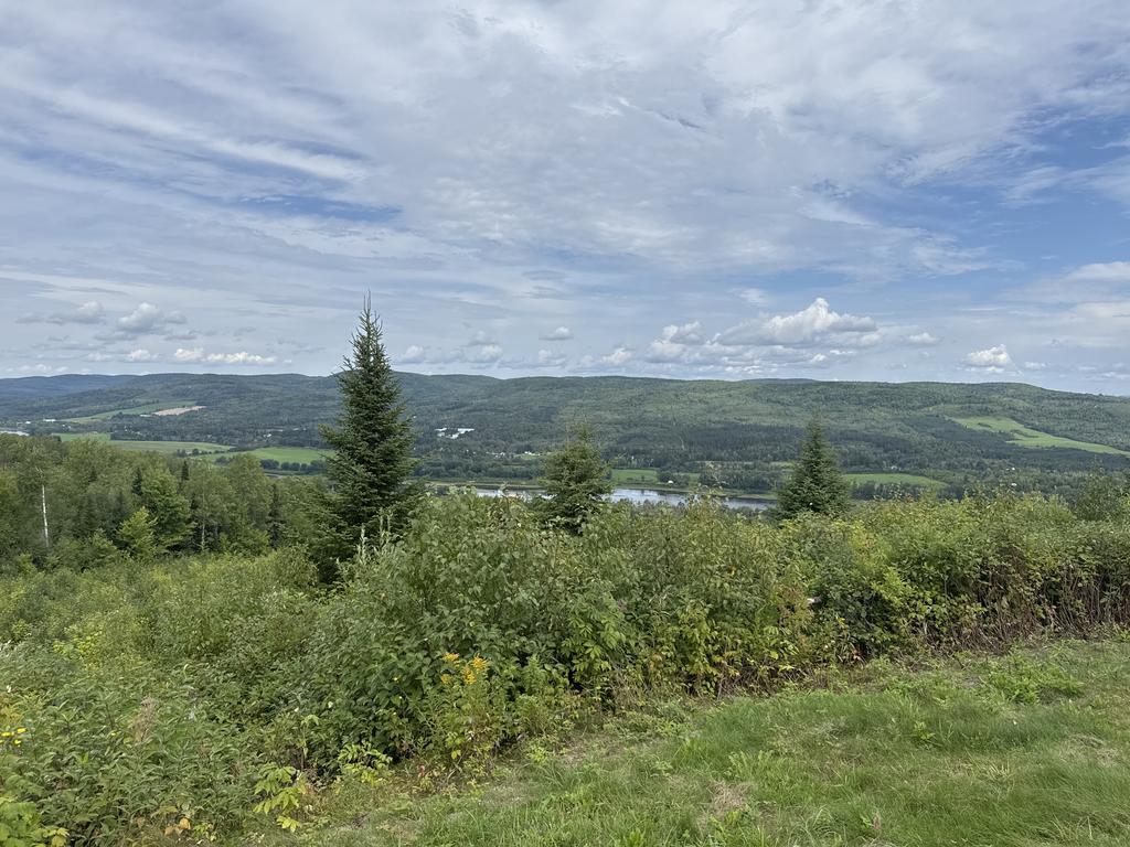 Gpsphoneapp Trail Photo