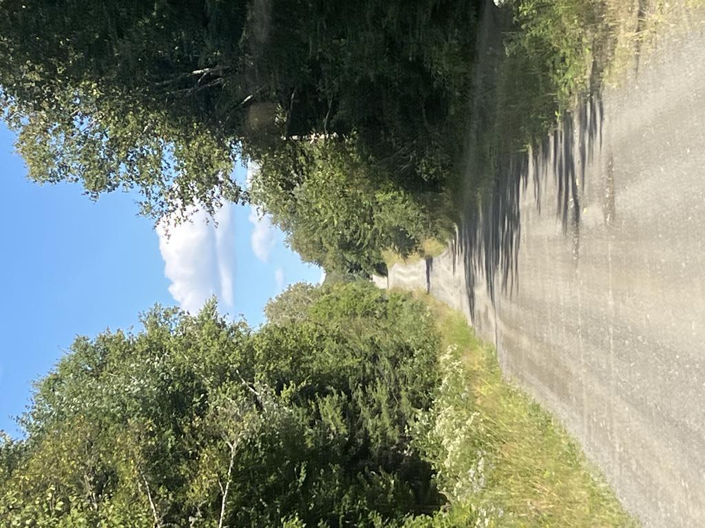 Fv62td757r@Privaterelay.Appleid.Com Trail Photo