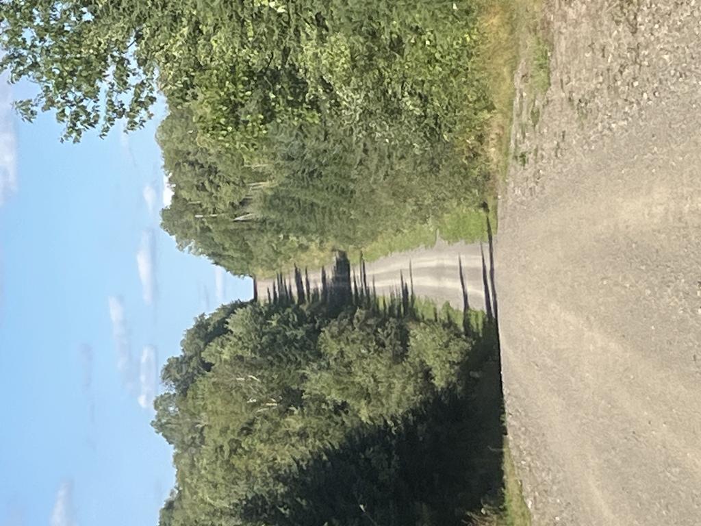 Fv62td757r@Privaterelay.Appleid.Com Trail Photo