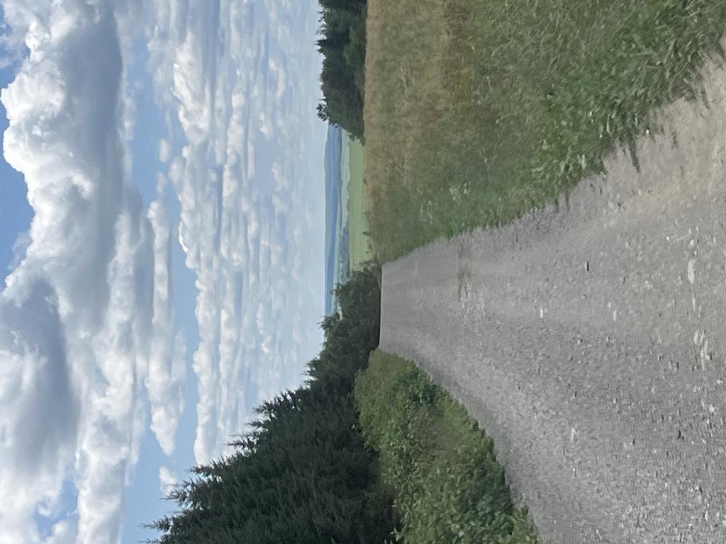 fv62td757r@privaterelay.appleid.com Trail Photo