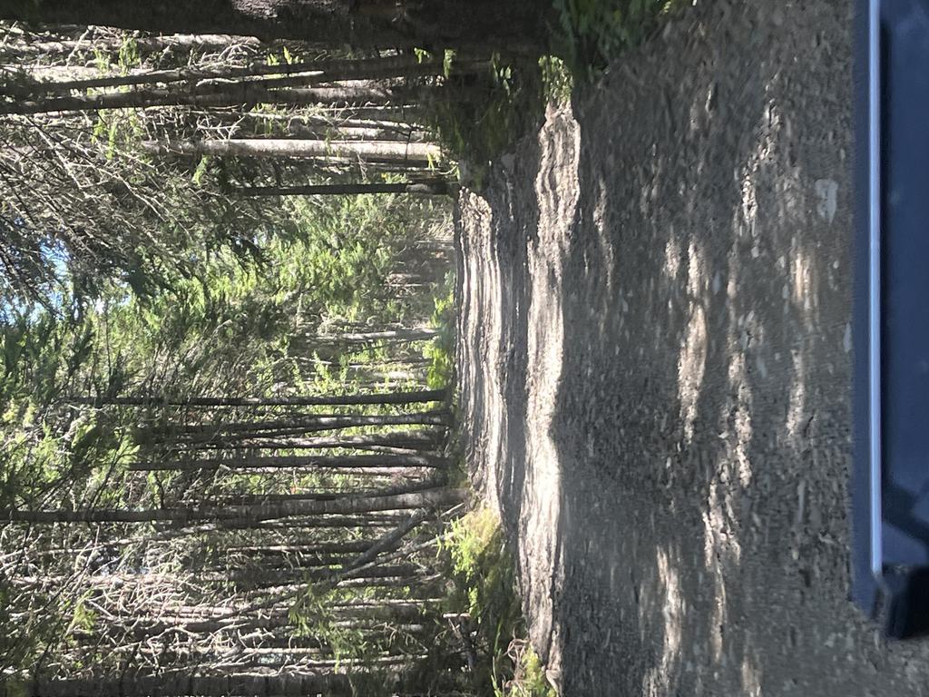 Alan6041@Comcast.Net Trail Photo