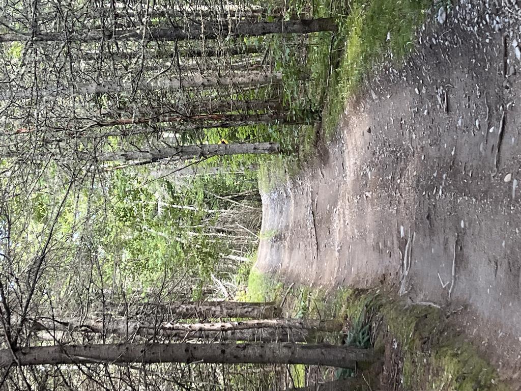 alan6041@comcast.net Trail Photo