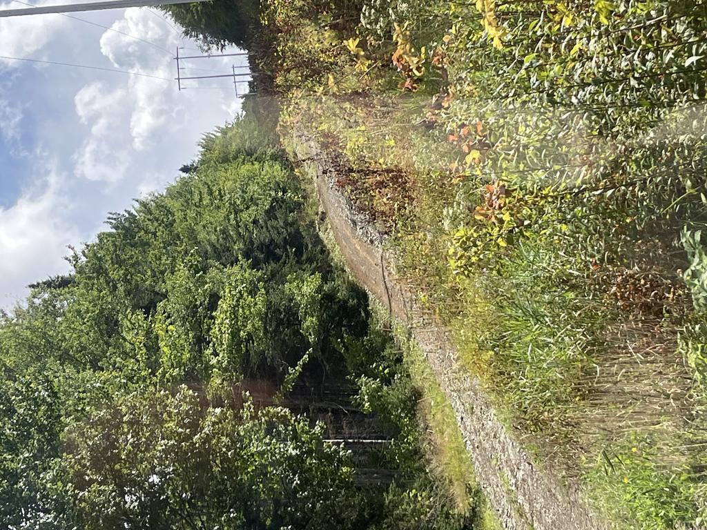 Alan6041@Comcast.Net Trail Photo