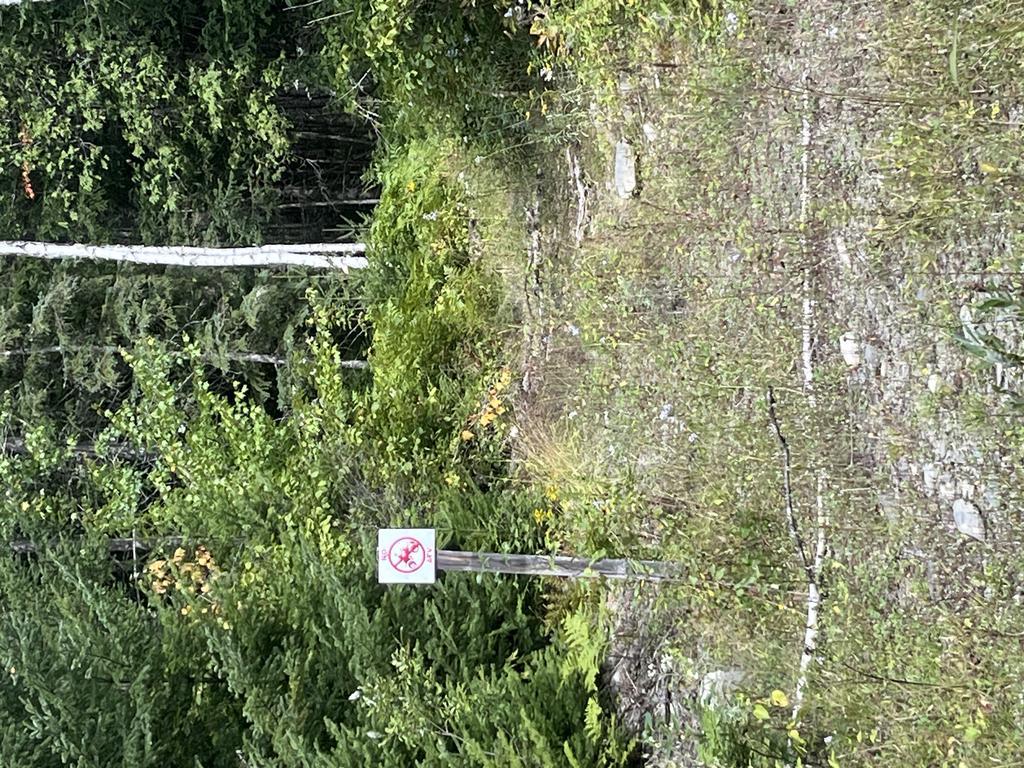 Alan6041@Comcast.Net Trail Photo