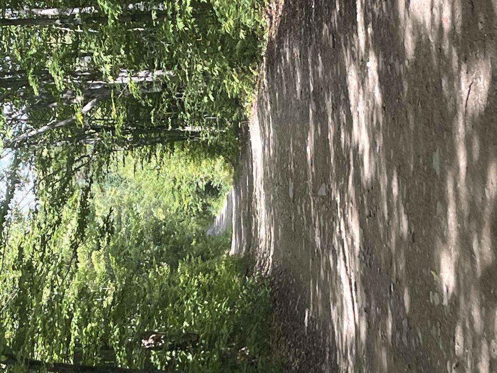 Alan6041@Comcast.Net Trail Photo