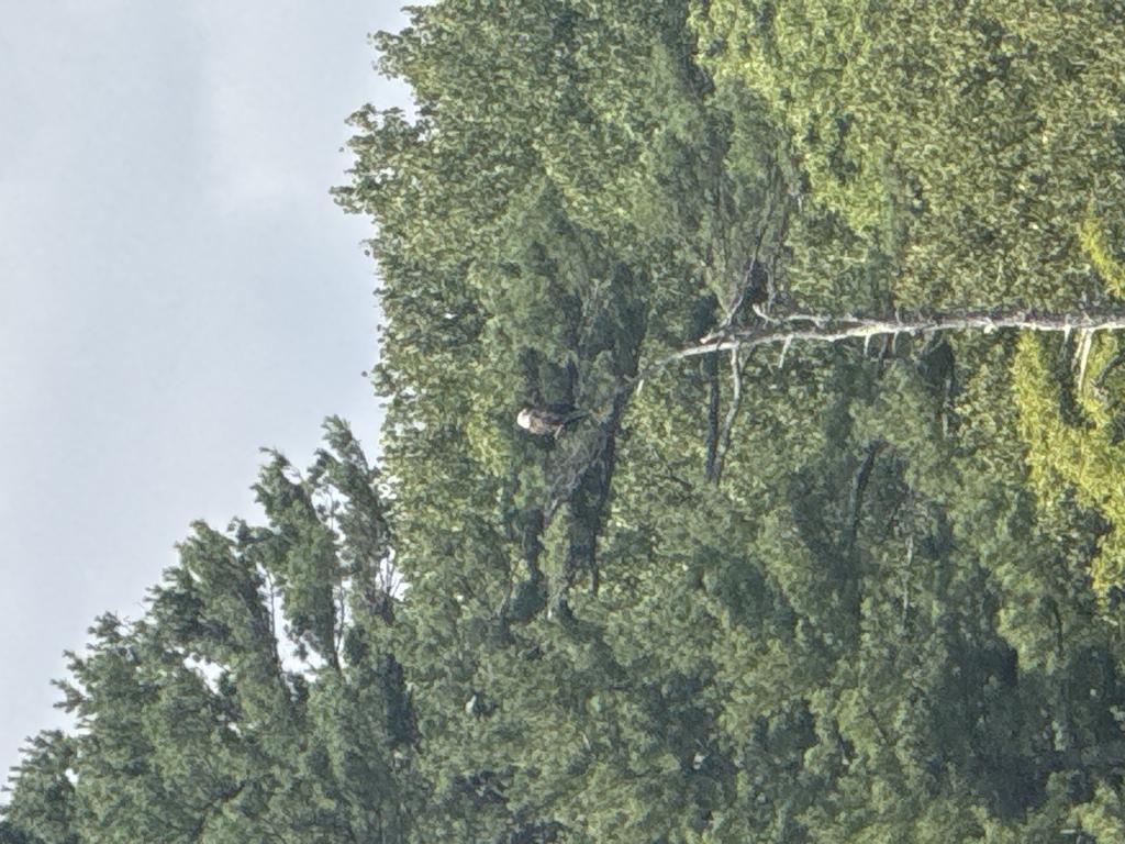 Kevj25 Trail Photo