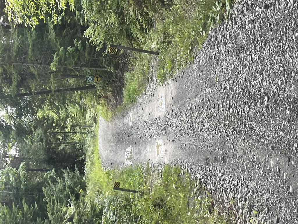 Alan6041@Comcast.Net Trail Photo