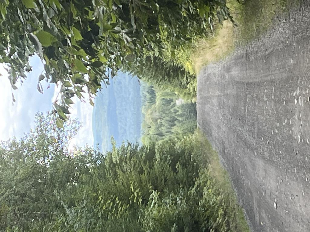 alan6041@comcast.net Trail Photo