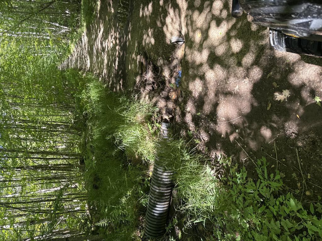 jordan Trail Photo