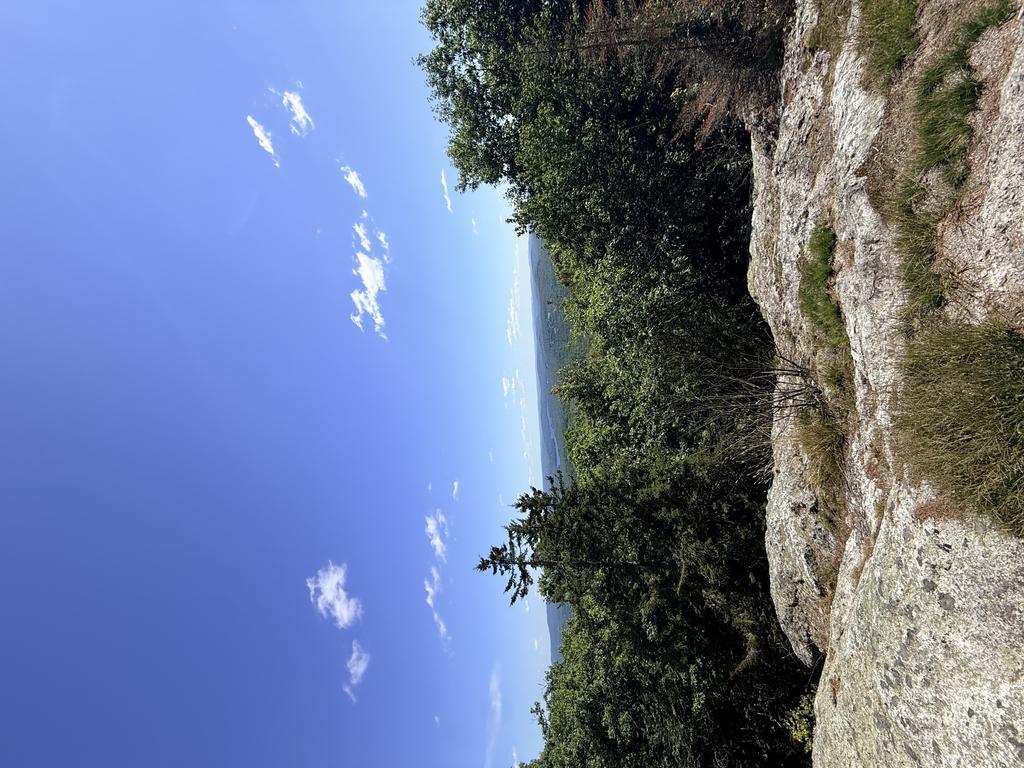 GrumpyIcehole Trail Photo