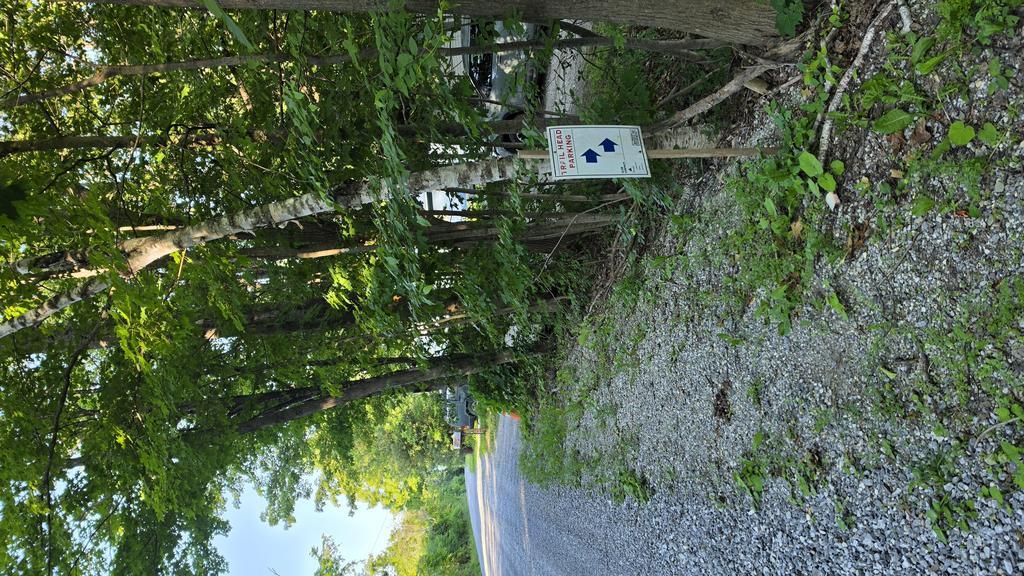 teamfoster03 Trail Photo