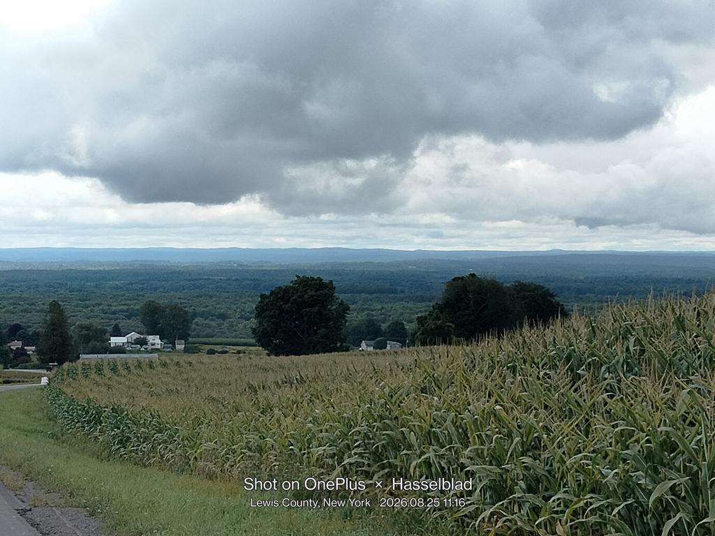 25407MilitaryRd Trail Photo