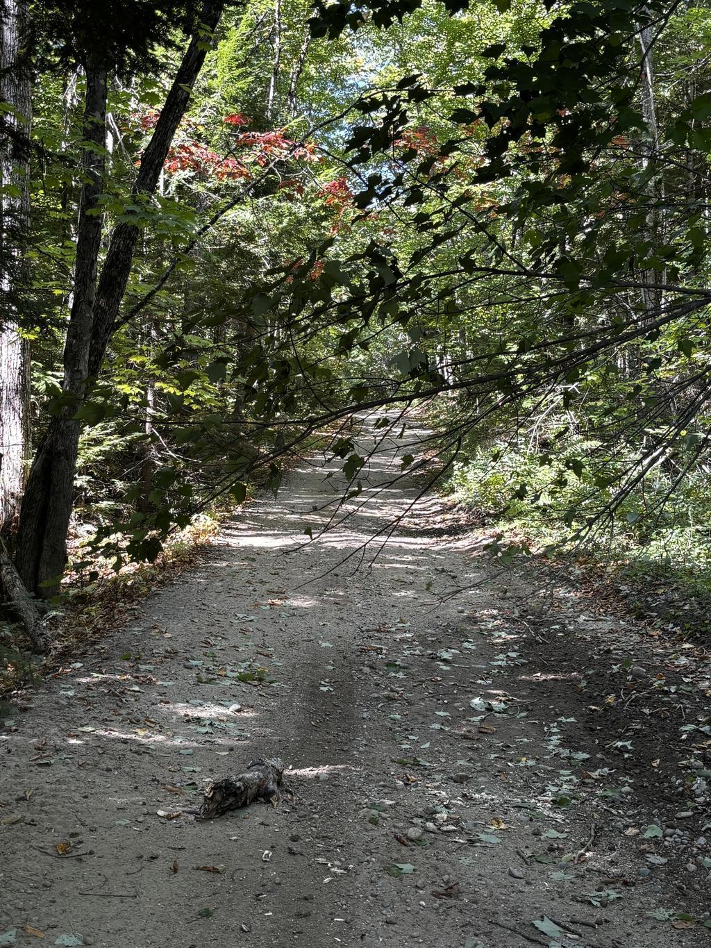 Mike1962 Trail Photo
