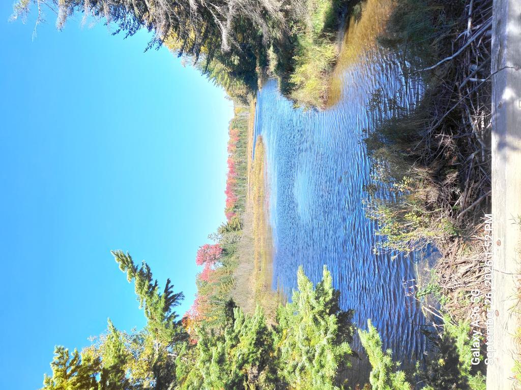 angelbouthot60@gmail.com Trail Photo