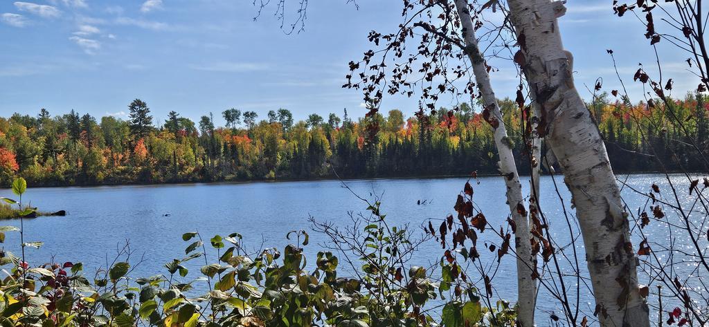 Tuckenhagen Trail Photo