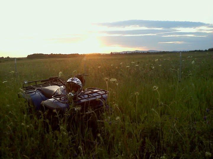 hollis-freewheelers-atv-club
